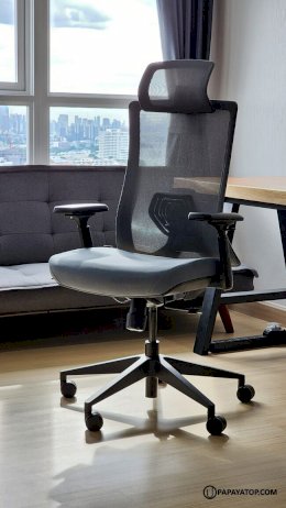 รีวิว-ergonomate-lincoln-เก้าอี้เพื่อสุขภาพ-สวย-ไม่แพงอย่างที่คิด