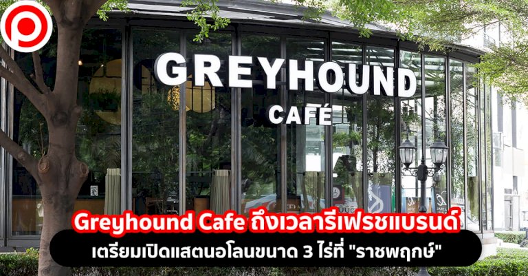greyhound-cafe-ถึงเวลารีเฟรชแบรนด์-เตรียมเปิดแสตนอโลนขนาด-3-ไร่ที่-“ราชพฤกษ์”