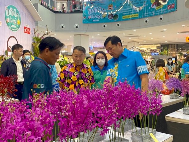 ชวนหลบร้อน-รับความสดชื่นจากไม้ดอกไม้ประดับนานาพรรณ-ในงาน-“แปซิฟิค-ฟลอร่า-2023